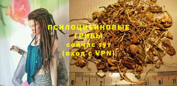 мет Балахна